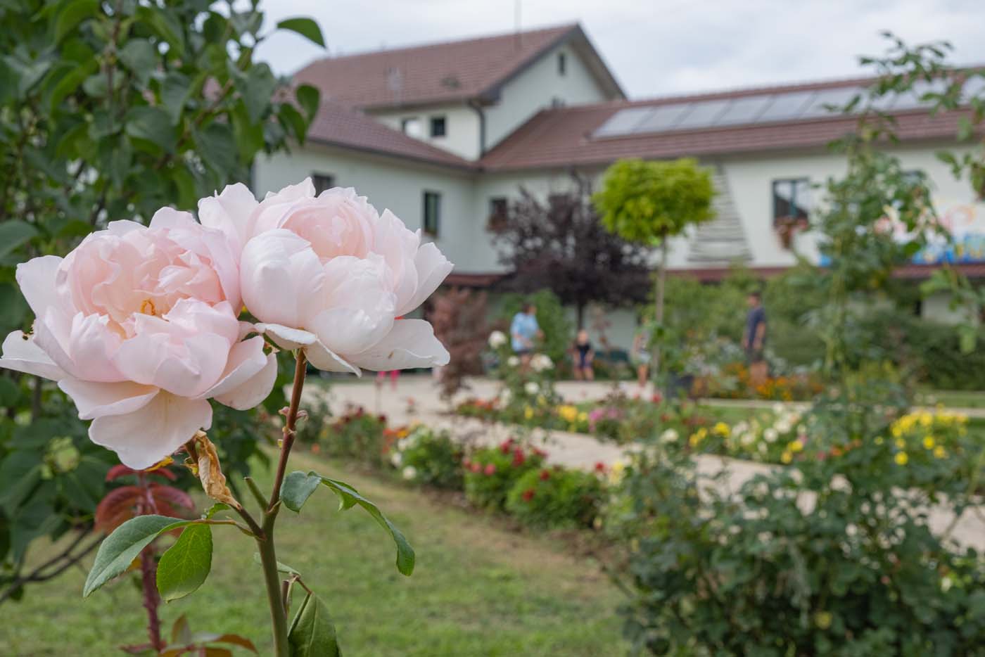 Casa Carita Umbra Kosovo | Chi siamo